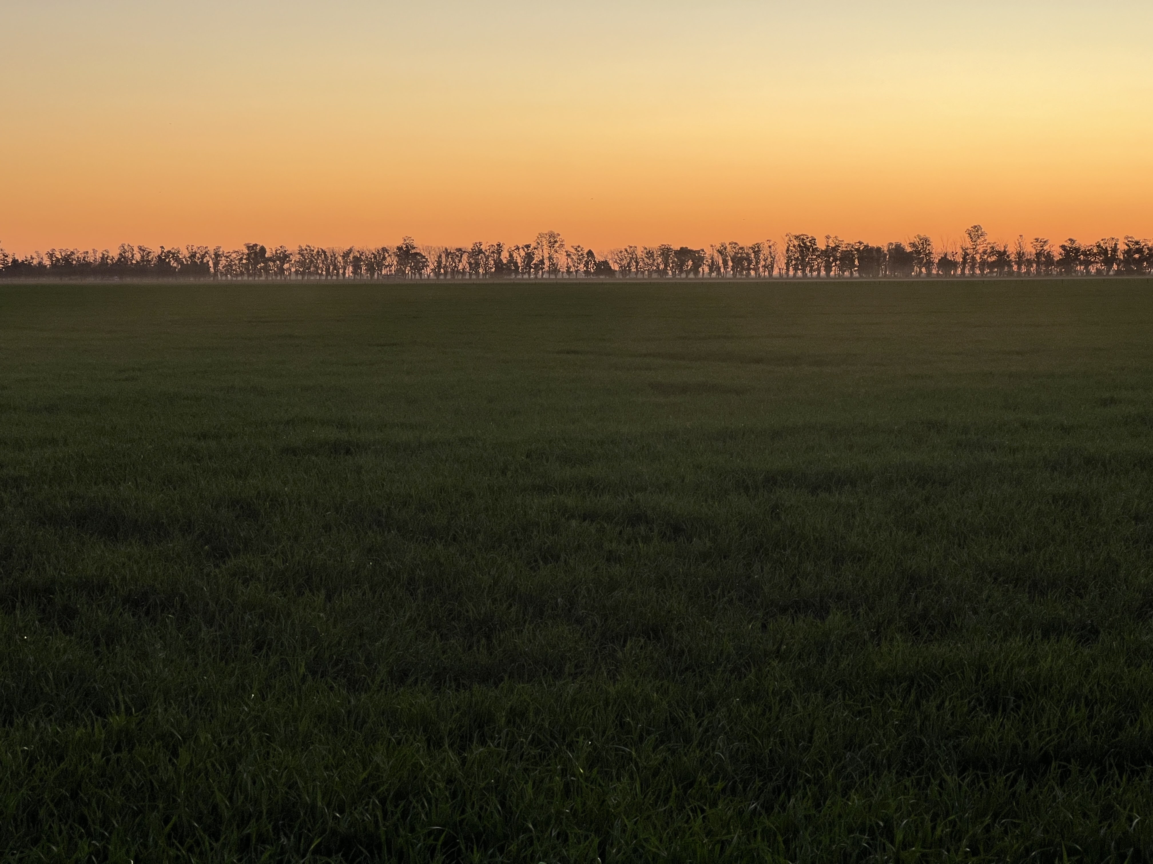 Producción Agrícola Don Amín