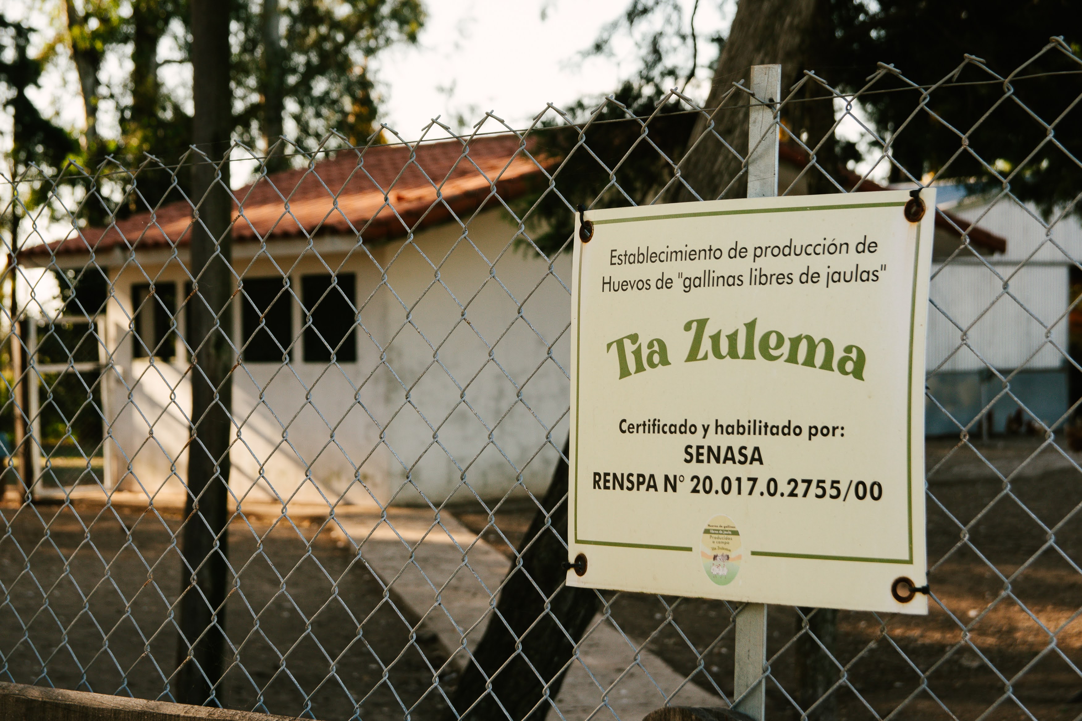 Huevos Tía Zulema